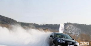 中汽聯(lián)認證車手專業(yè)陪駕與代駕服務(wù) 安全駕乘的全新選擇